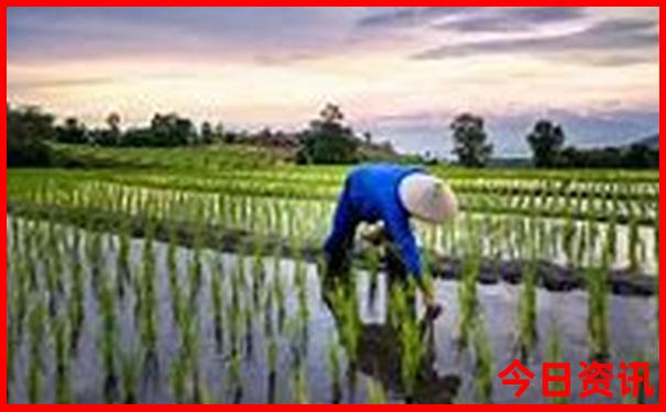 中国地图旅游景点地图高清